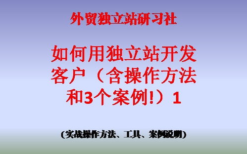 房产客户的谎言怎么写（房产客户的谎言怎么写文案）