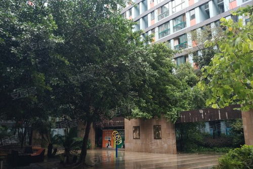 小院怎么购买商铺房产权（买小院需要什么手续）