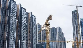 明年房产市场怎么样（明年房产行情怎么样）