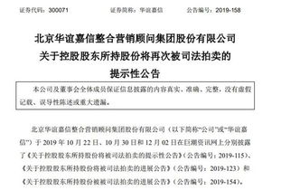 怎么拍卖股东的股份房产（股东司法拍卖）