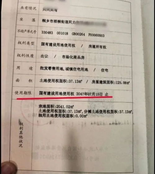 农房产权编号怎么查询（农村房屋产权查询）