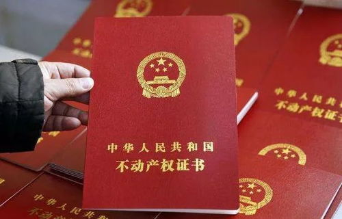 德州房产证怎么补办（德州房产证怎么补办流程）