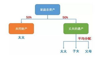 父母房产怎么继承最合适（父母房产继承顺序及分配比例）