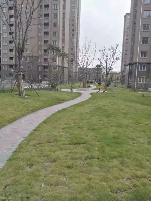 拆迁户房产怎么分配（房屋拆迁户）
