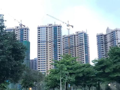 廊坊专注房产怎么样（廊坊专业）