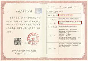 房产抵押委托怎么办（房屋抵押 委托）