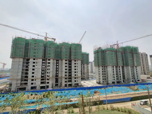 郑州贝壳房产怎么样（郑州贝壳找房怎么样）