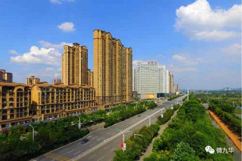 金侨房产怎么样（金侨房地产开发集团有限公司）