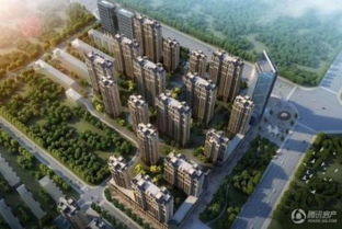 聊城永康房产怎么样（永康城房子价格）