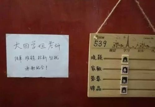 怎么委婉炫房产证（讨要房产证标语怎么写）