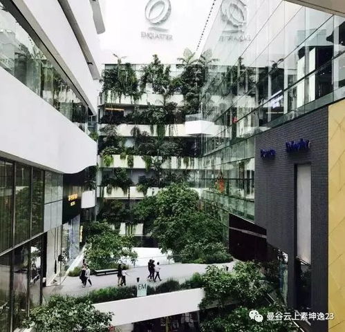 曼谷房产选择区域怎么选（曼谷 房子）