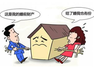 父母房产分割书怎么写（父母房产如何分割,怎么写）