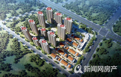 新区房产工作怎么样（新区房产网）