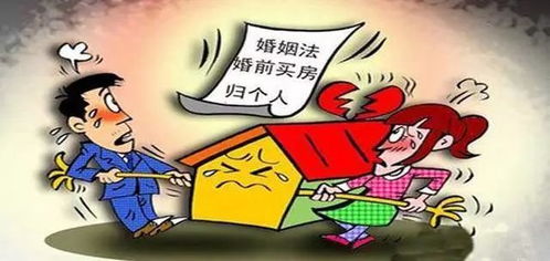 婚前债务房产婚后怎么分（婚前欠的债务结婚后算共同债务,房子怎么算）