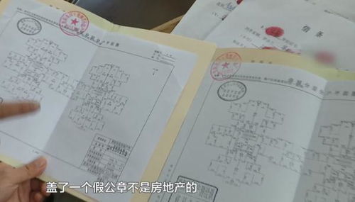 怎么查房产证积分（怎么查房产证积分多少）