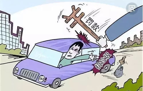 怎么看待大连房产政策（大连房产新政策出台）
