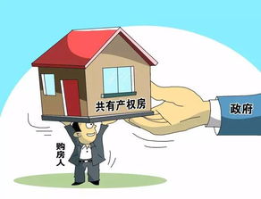 共有房产怎么确定份额（共有房产怎么确定份额和价格）