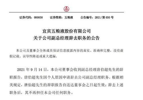 房产经理离职怎么说（房产经理离职怎么说理由）