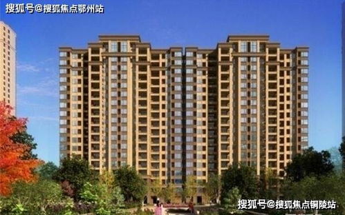 嘉善的房产怎么样（嘉善房产网嘉善新楼盘）