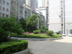 长沙新城房产怎么样（长沙新城房价）