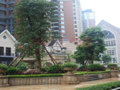海珠保利房产怎么样（海珠保利花园怎么样）