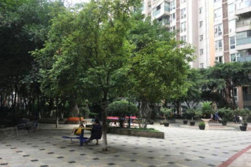 朝阳房产工资怎么样（朝阳房地产中介招聘信息）