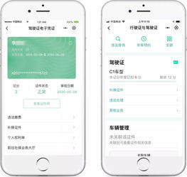 名下房产数量怎么查（名下房产数量怎么查询）