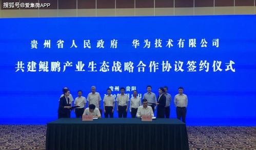 金华鲲鹏房产怎么样（金华鲲鹏企业管理有限公司）