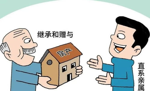 离婚的小孩怎么继承房产（离婚的小孩怎么继承房产过户）