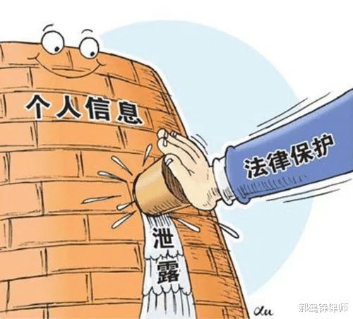 贩毒被抓房产怎么处理（毒贩的财产会怎么处理）
