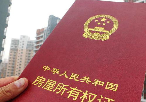 房产交契税怎么查询不到（房产交契税怎么查询不到发票）