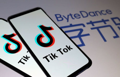 京东房产侵权怎么办理（京东房产侵权怎么办理的）