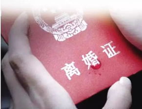 离婚的妻子怎么分房产（离婚房子给老婆怎么过户）
