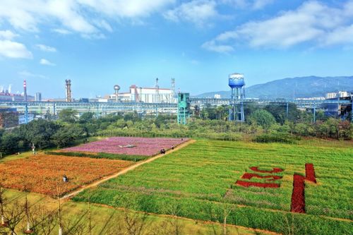 广东中南房产怎么样（广东中南集团）