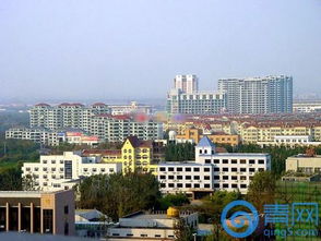 城阳区本地房产怎么样（城阳区房产网）