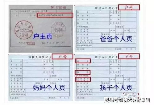 应该怎么复印房产证件（应该怎么复印房产证件信息）