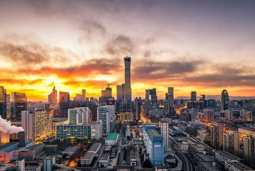 怎么判断自己的房产类型（怎么看房产类型）