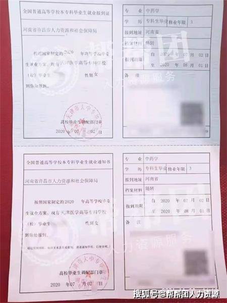 房产查档单丢失怎么补（房产查档单丢失怎么补办）
