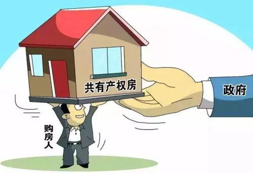 房产销售怎么判断客户（房产销售怎么判断客户真假）