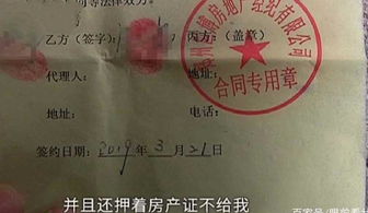 房产证违约怎么起诉（房产证违约起诉流程）