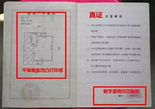 房产证丢了怎么查询（房产证丢了怎么查询真伪）