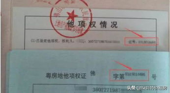 房贷房产证怎么拿回（办理了房贷,房产证在哪里）