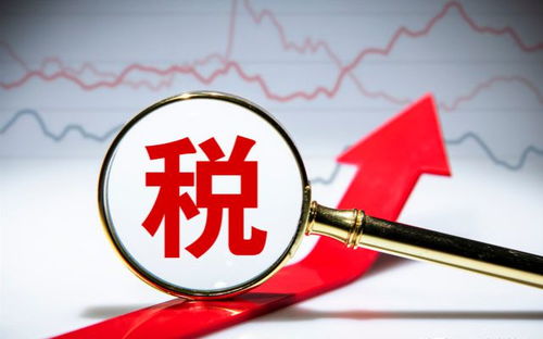 房产税一万二怎么交（房产税 1.2）