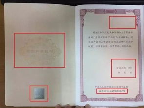 房产怎么分房源的真假（怎么分房产证的真假）