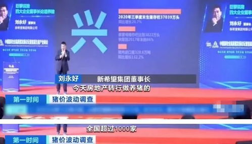 做房产号怎么赚钱的（房产号是什么意思）