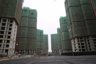 房产项目建设进度怎么写（房屋建设项目进度）