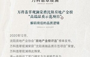 高端房产简介怎么写范文（高端房产简介怎么写范文大全）