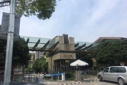 房产没人评论怎么办（房子没有人）