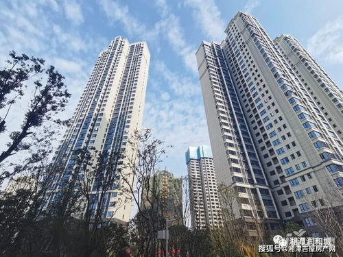 新手gta怎么倒卖房产（gta如何卖房子）