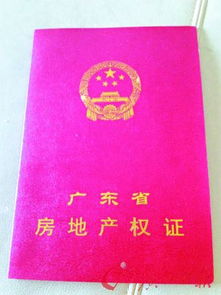 房产怎么鉴别真假房子呢（房产怎么鉴别真假房子呢视频）